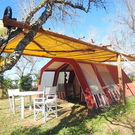 מלון קוטרופיאנו Camping Terreno-Ro-Bi-Li מראה חיצוני תמונה