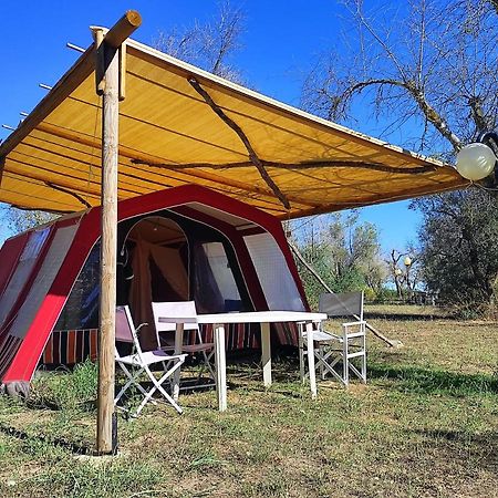 מלון קוטרופיאנו Camping Terreno-Ro-Bi-Li מראה חיצוני תמונה