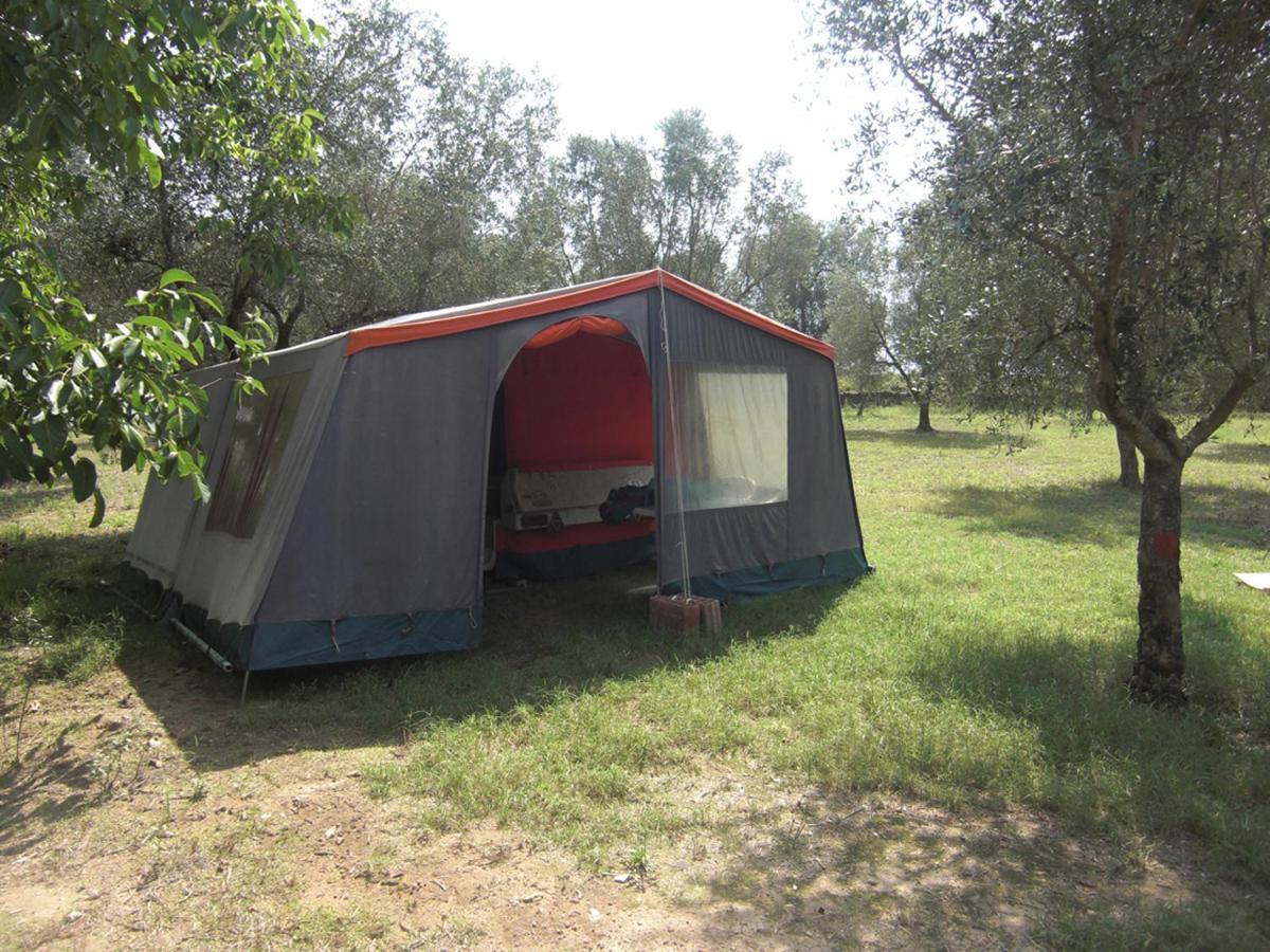 מלון קוטרופיאנו Camping Terreno-Ro-Bi-Li מראה חיצוני תמונה