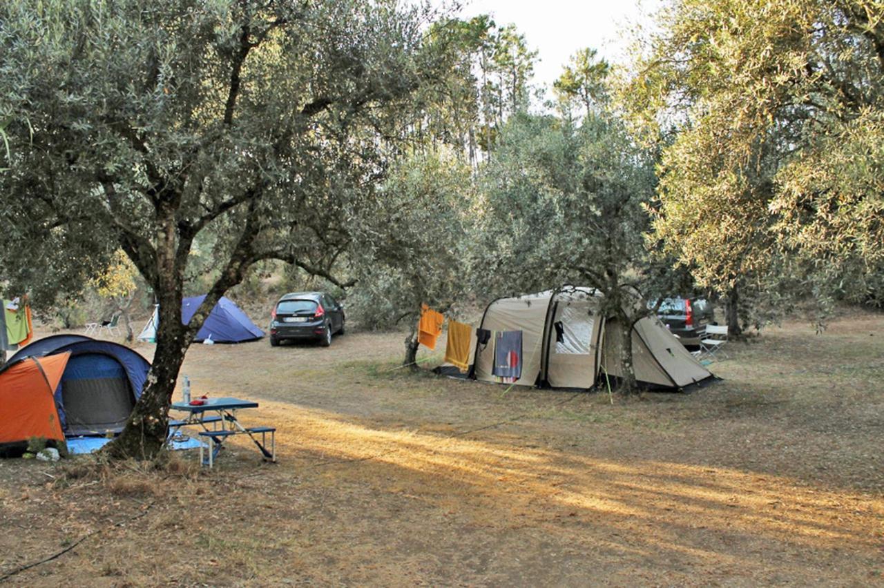 מלון קוטרופיאנו Camping Terreno-Ro-Bi-Li מראה חיצוני תמונה