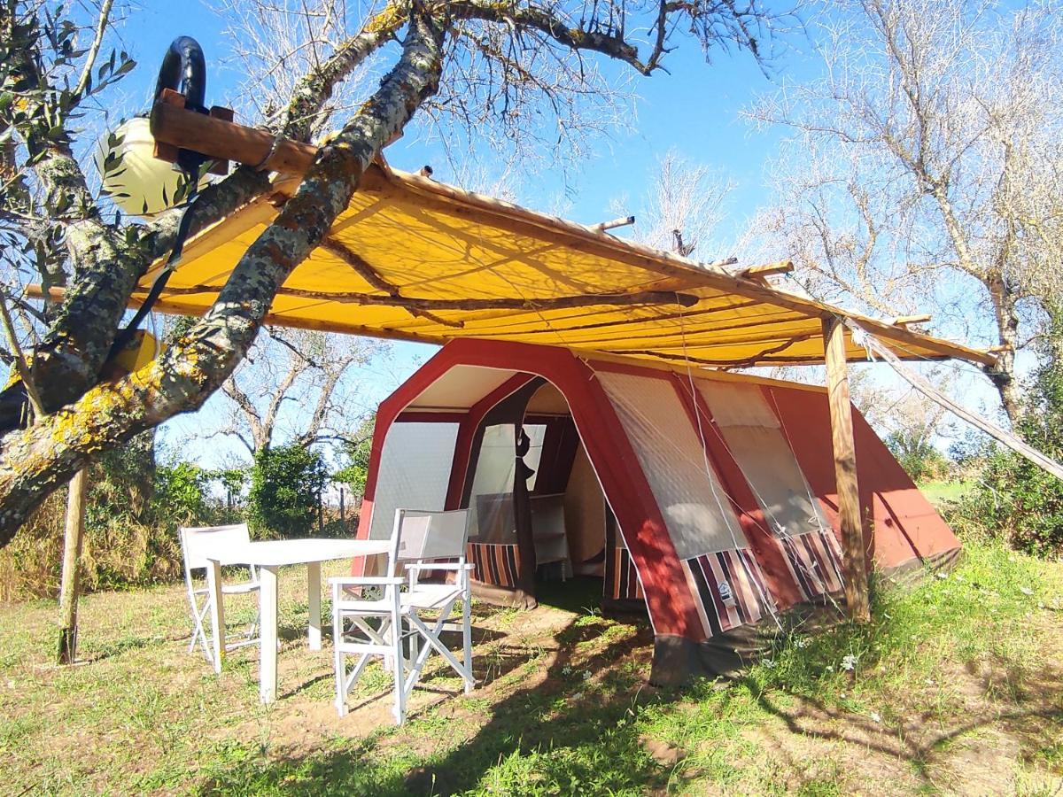מלון קוטרופיאנו Camping Terreno-Ro-Bi-Li מראה חיצוני תמונה