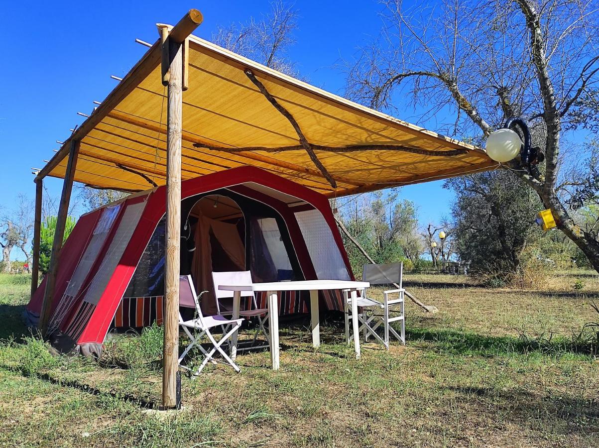 מלון קוטרופיאנו Camping Terreno-Ro-Bi-Li מראה חיצוני תמונה