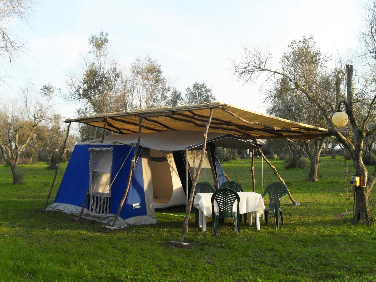 מלון קוטרופיאנו Camping Terreno-Ro-Bi-Li מראה חיצוני תמונה