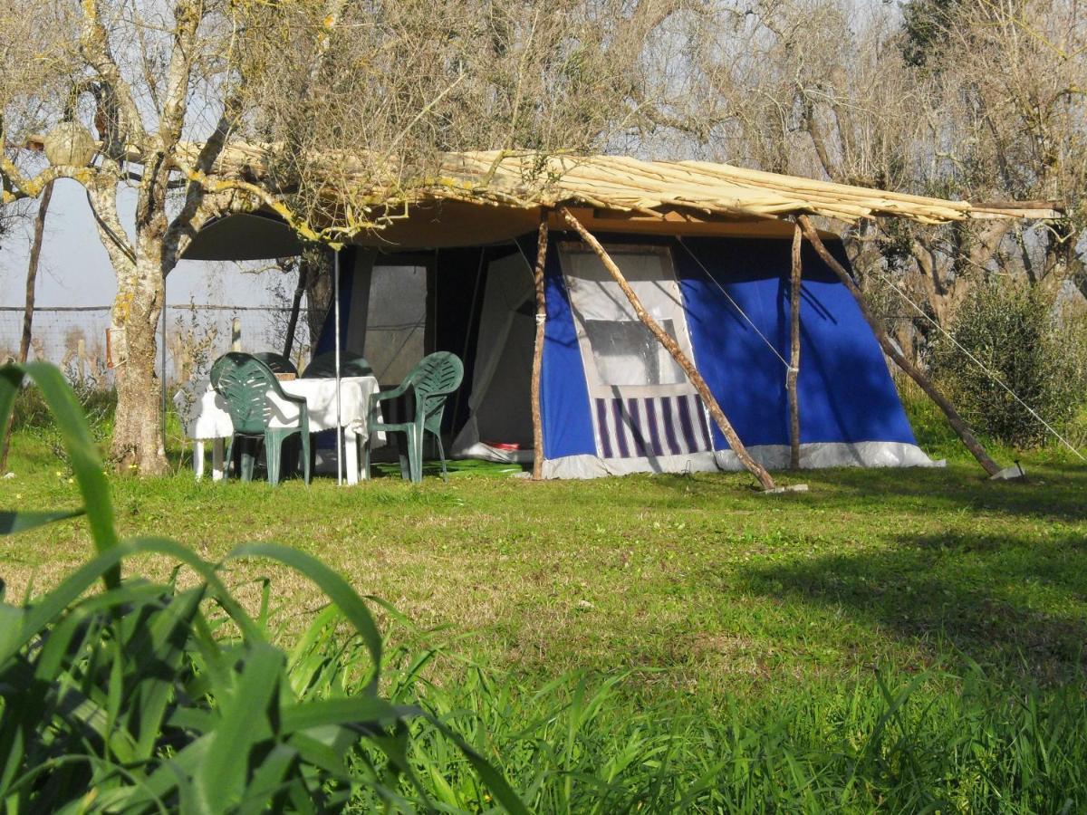 מלון קוטרופיאנו Camping Terreno-Ro-Bi-Li מראה חיצוני תמונה