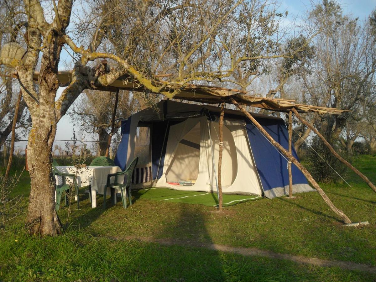 מלון קוטרופיאנו Camping Terreno-Ro-Bi-Li מראה חיצוני תמונה